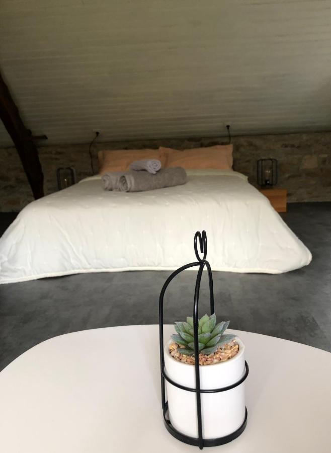 Le Domaine De La Claire Fontaine Gites -Chambres D'Hotes Montvalent Esterno foto