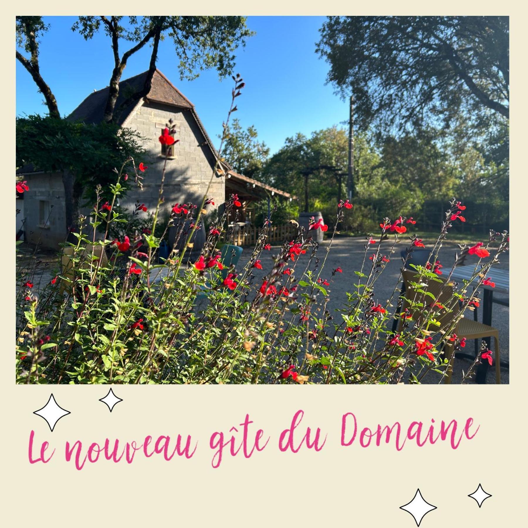 Le Domaine De La Claire Fontaine Gites -Chambres D'Hotes Montvalent Esterno foto