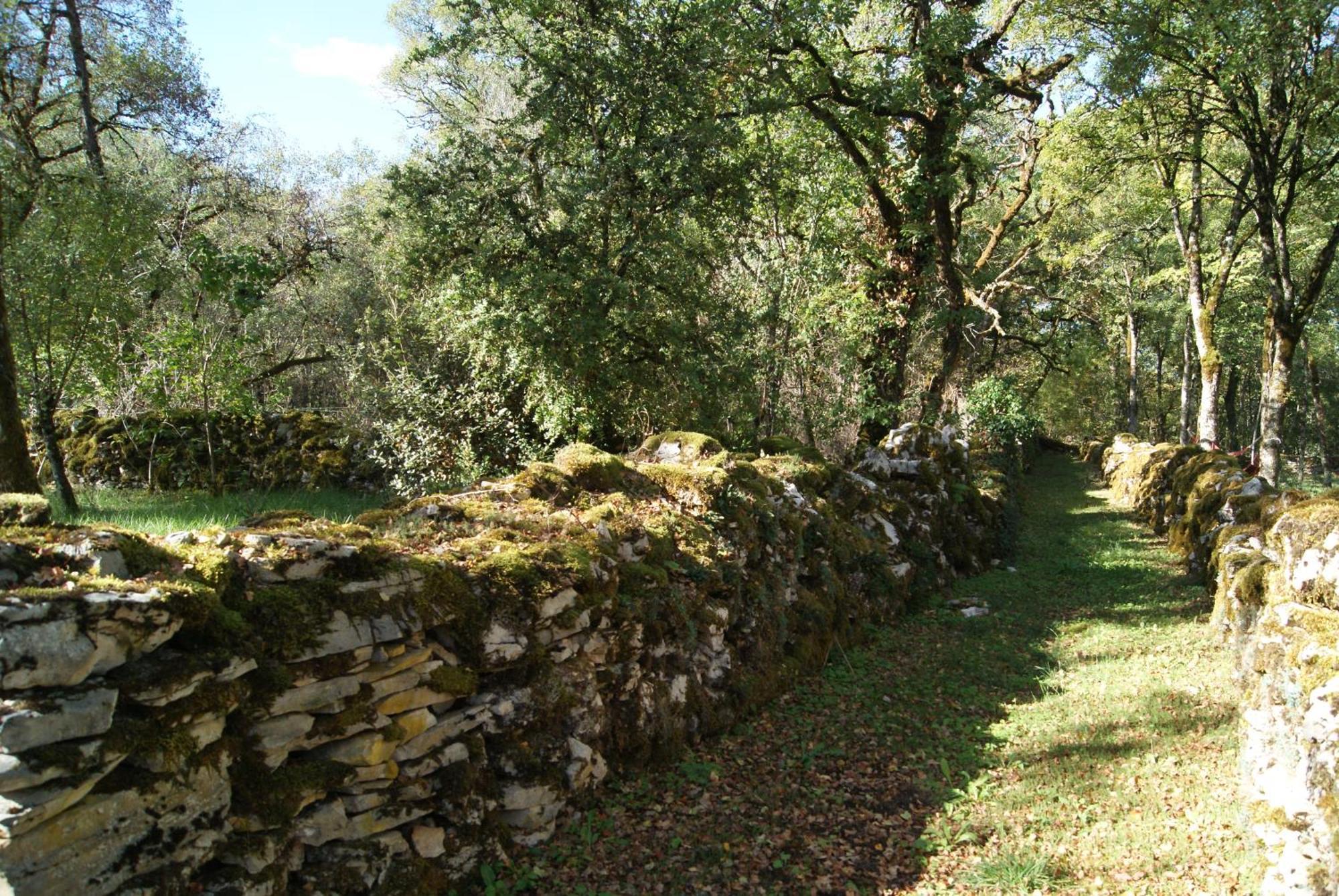 Le Domaine De La Claire Fontaine Gites -Chambres D'Hotes Montvalent Esterno foto